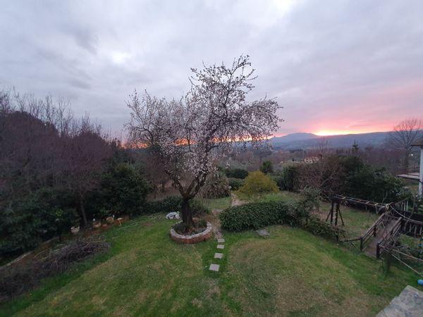 Casa de Loredana