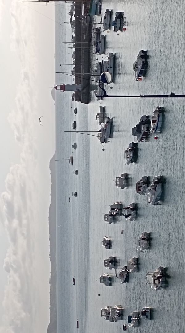 Appartement sympathique et fonctionnel avec vue sur mer,  les pieds dans l'eau, exposé sud.