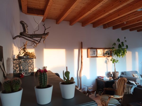 Carine's house