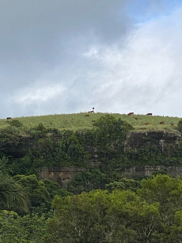 La maison de Michelle