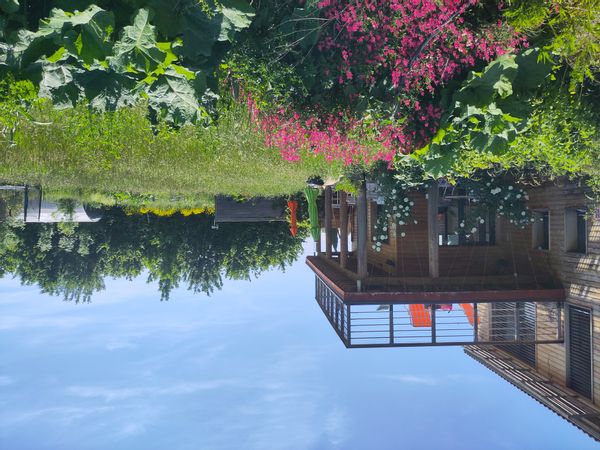 Maison écologique, très lumineuse. 30000 M2 de terrain sous les baies vitrées.