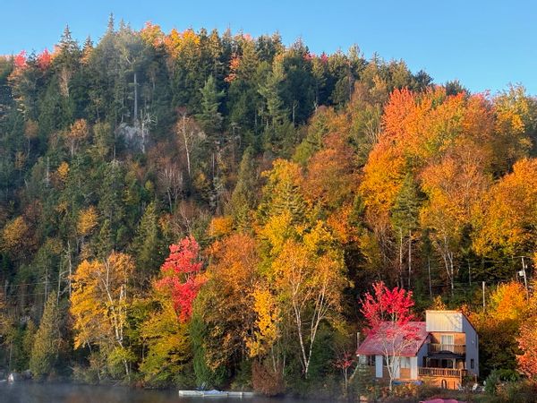 Chalet douillet au Lac des Souris, dans une magnifique baie, à Saint-Élie-de-Caxton en Mauricie.