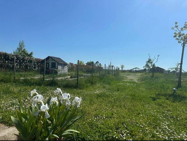 La maison des vignes