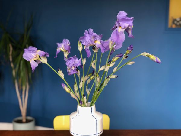 Maison contemporaine aux portes des gorges de l'Ardèche, 7 personnes