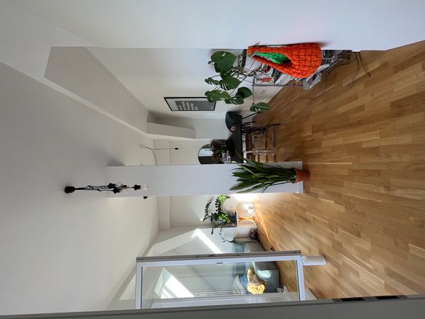 Jasmin's house