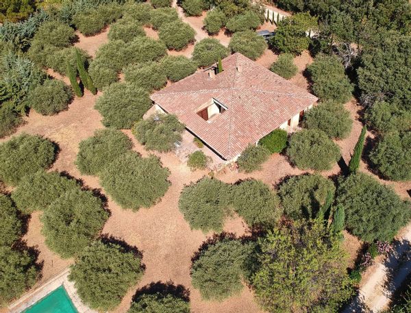 L'oliveraie de Sylvie et Philippe,