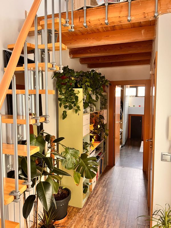 Casa de Gianina