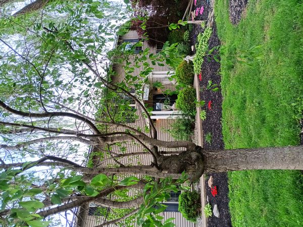 La maison de Lisa & Roffy