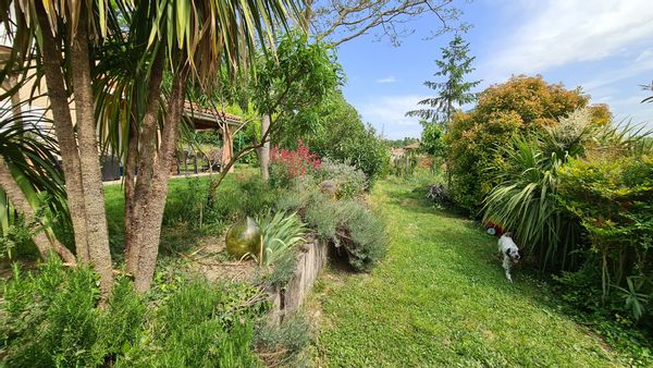 Grande maison gersoise avec jardin paysagé, terrasse abritée, piscine bois et vue sur les Pyrénées.