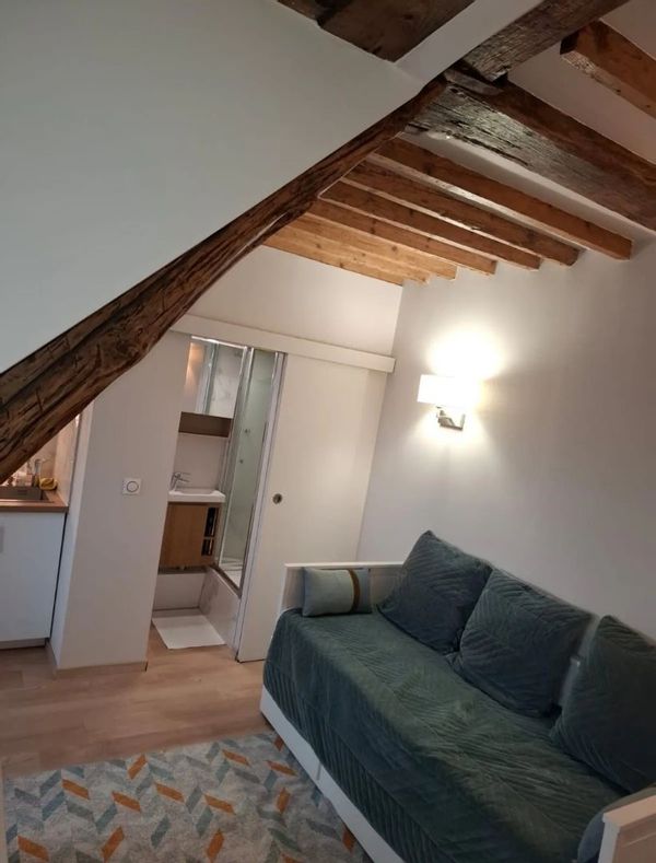 Marais, charmant studio rue des Rosiers, dernier étage, ascenseur, vu toits