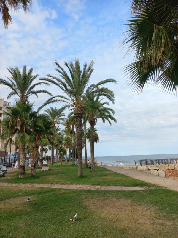 La maison de Ttamaritta