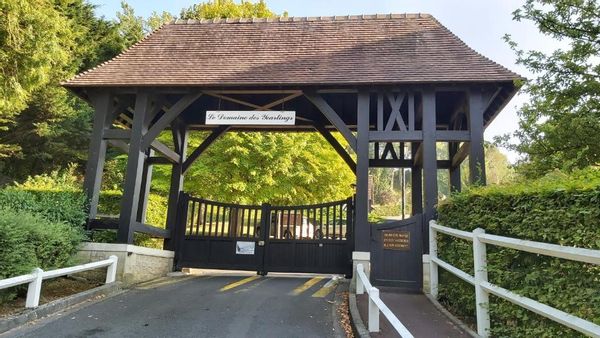 Le Domaine des Yearlings