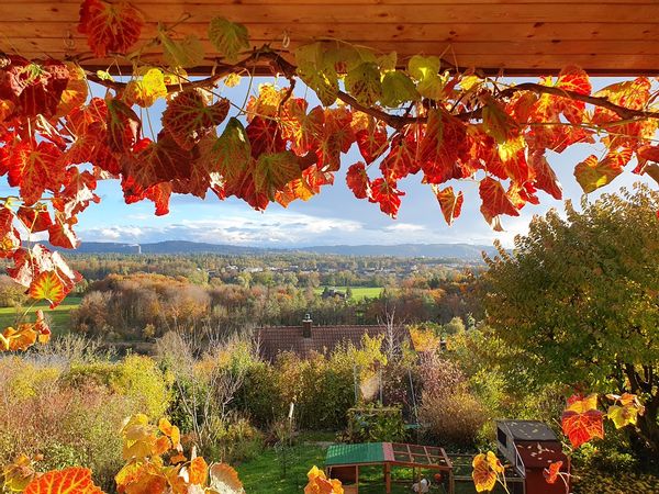 La maison de Clemens