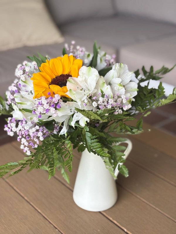 La maison de Mª José