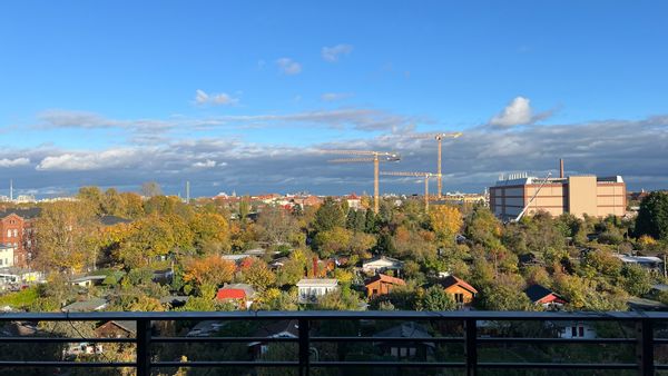 Laya and Arian’s house