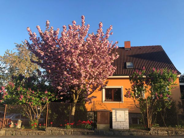 La maison de Drahomíra