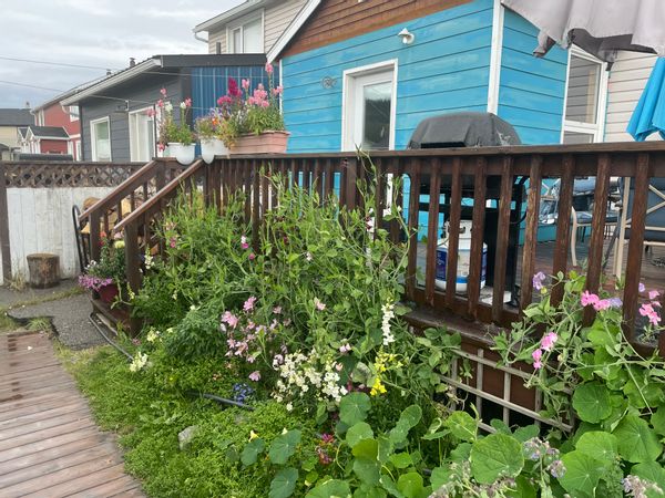 La maison de Jean-Sébastien
