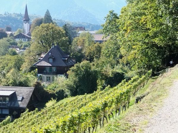 Sylvia's Skyvista  lake & mountainpanorama flat