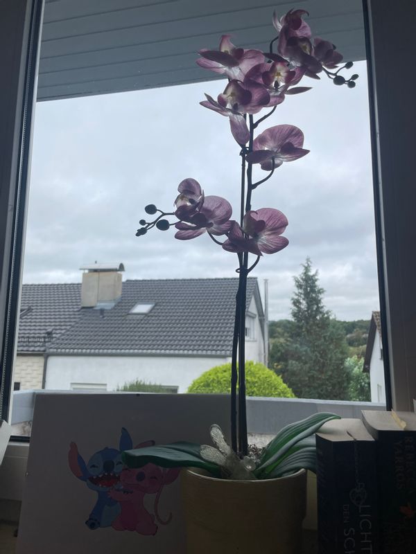 La maison de Lisa-Marie