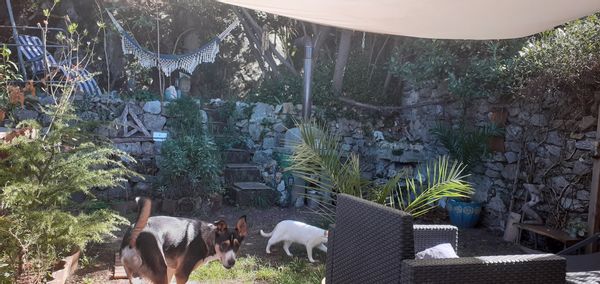 La maison perchée de Mathias