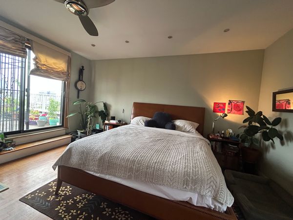 Sunny, spacious 3 BR Brooklyn apartment (with extraordinary roof deck) steps from Prospect Park