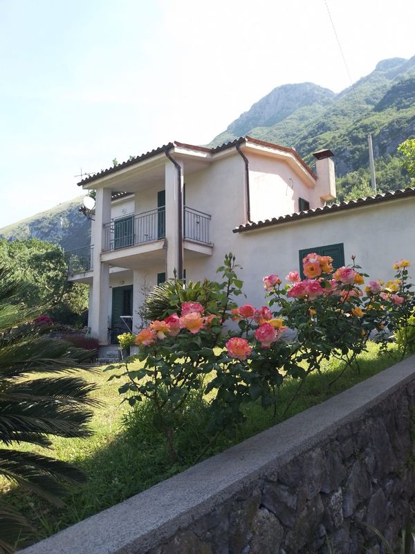 Domenico's house