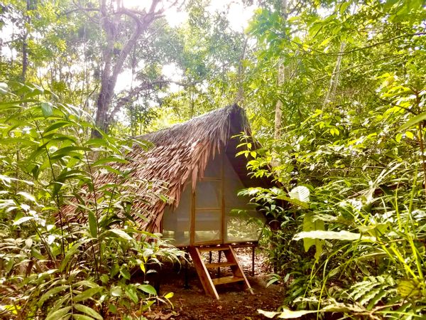 The Casita in the Amazon Jungle