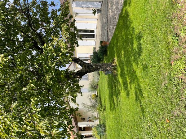 Maison lumineuse, 2 chambres + convertible, cadre paisible et convivial.  Proche du marais poitevin.