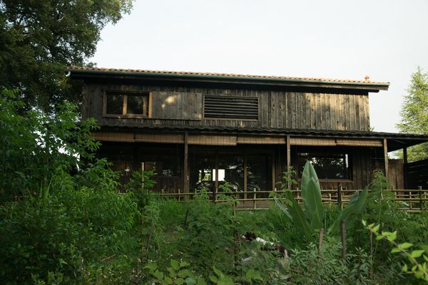 Maison japonaise avec vue sur la forêt