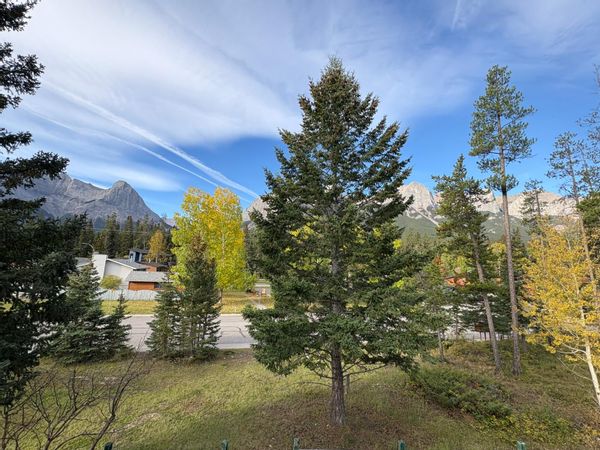 La maison de Kamila and Lubos