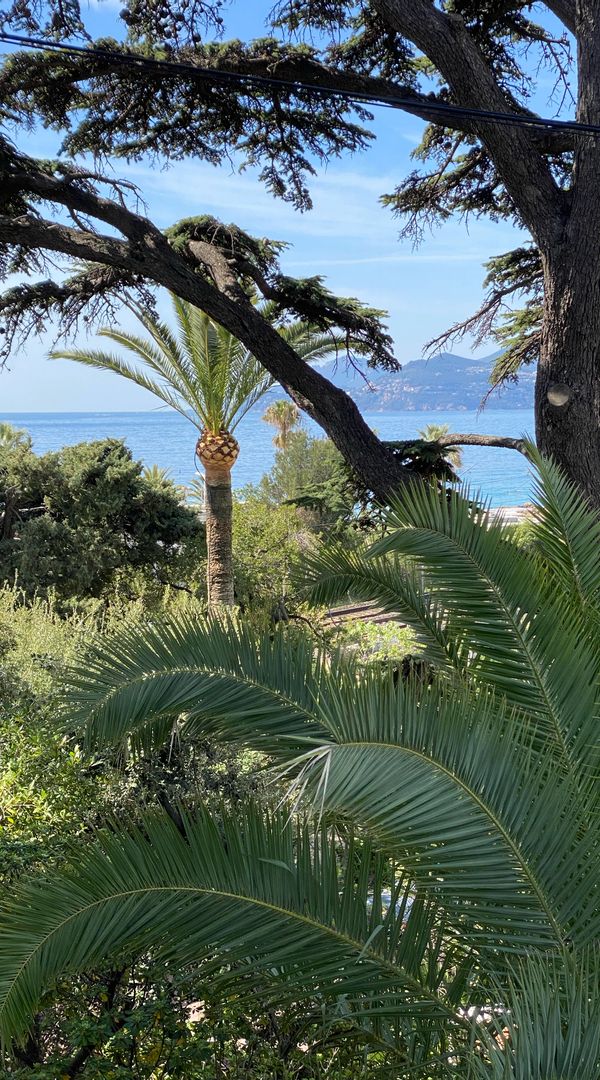 La Cascade. Élégant refuge dans le parc Victoria, à quelques pas de la mer et du centre-ville.