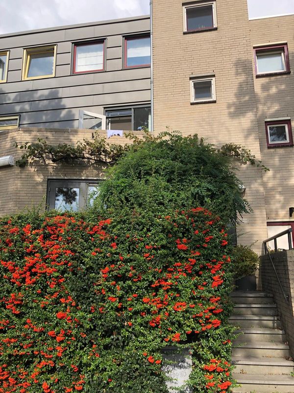 La maison de Marie-Jeanne