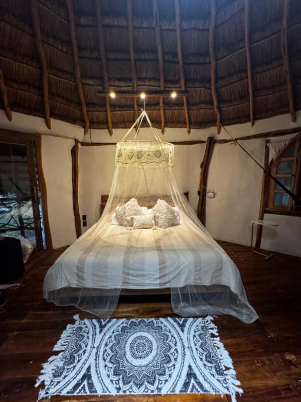 La maison de BIRD HOUSE