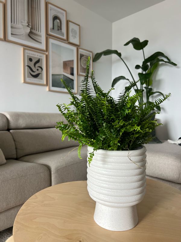 La maison de Natalia