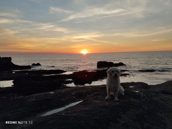 La maison de Roberto