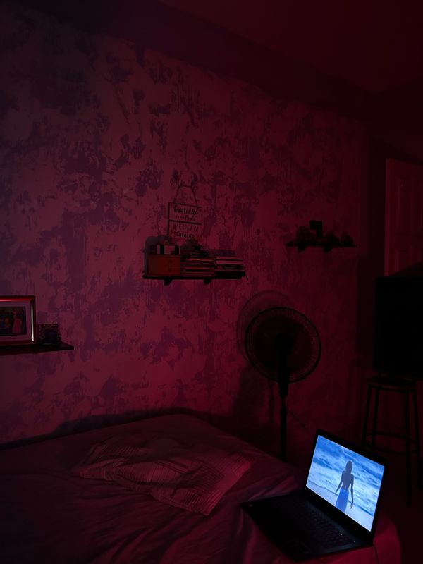 La maison de Welington