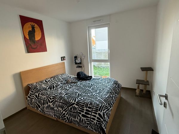 Logement familial au vert, à deux pas de Strasbourg