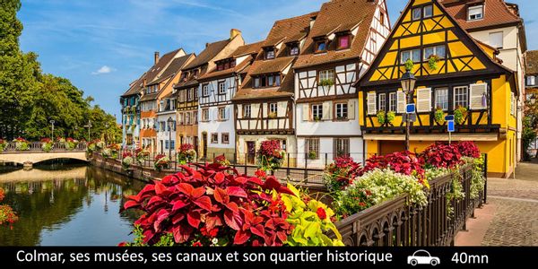 Christmas market / Wine route / Contemporary art