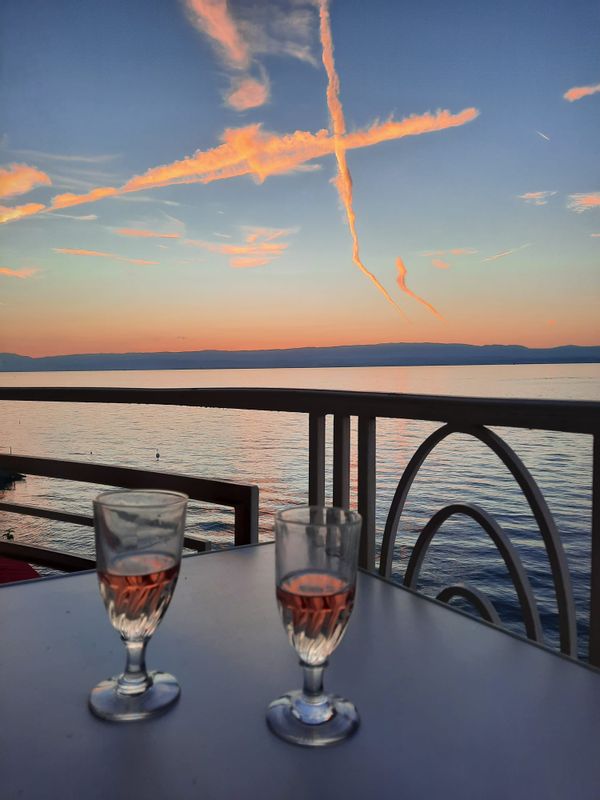 Le nid de Dodo / Dodo's nest