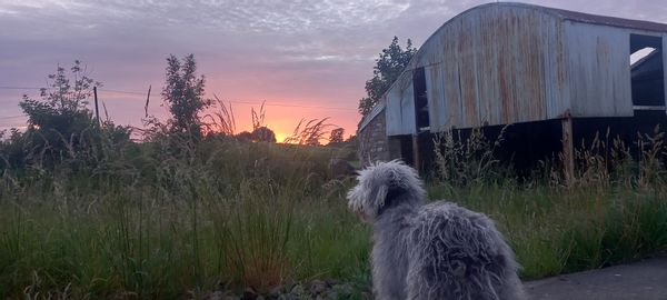 La maison de Geraldine