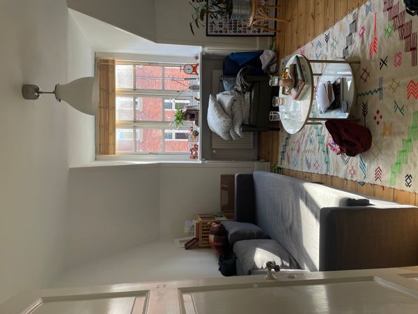 cozy apartment in the heart of copenhagen