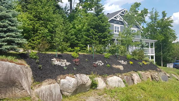 La maison de Nancy & Charles, au coeur de la nature à Stoneham