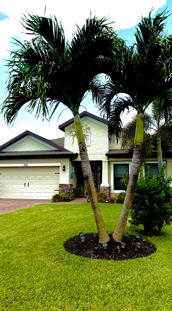 La maison de Alexandra