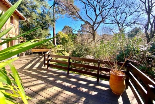 Seignosse Océan Maison sur la forêt