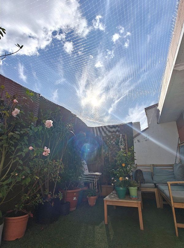 La casa de Alan & Chloé