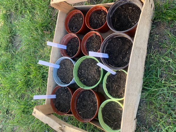 La maison de Emeline