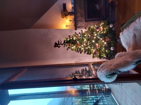 La maison de TOMAS  AND EVA