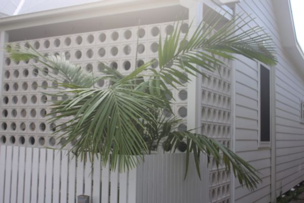 Casa di Tahni