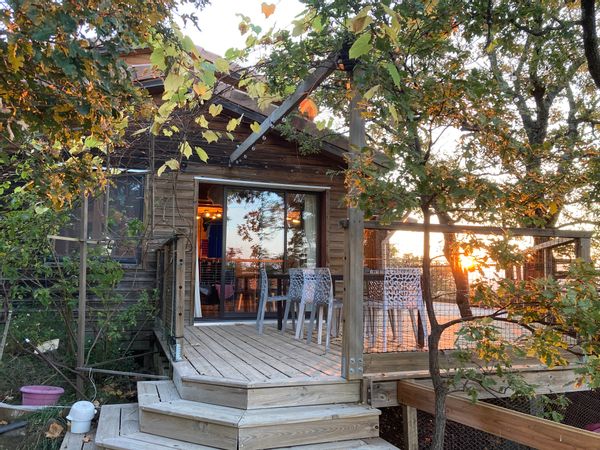 Au coeur des chênes