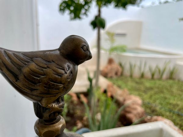 Cozy house with private pool. Quiet and functional.